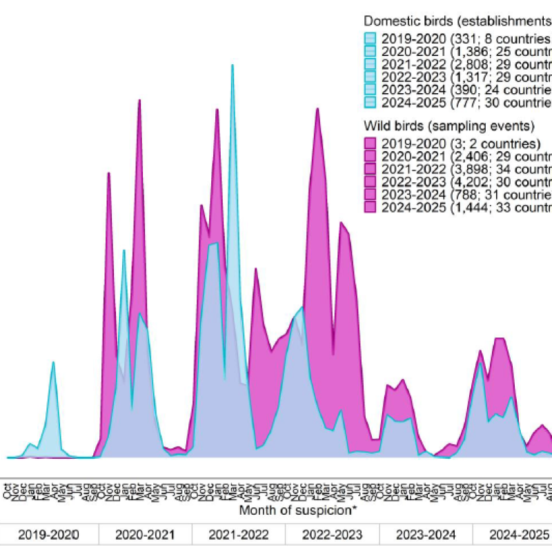 Avian Influenza HP 2019-2025
